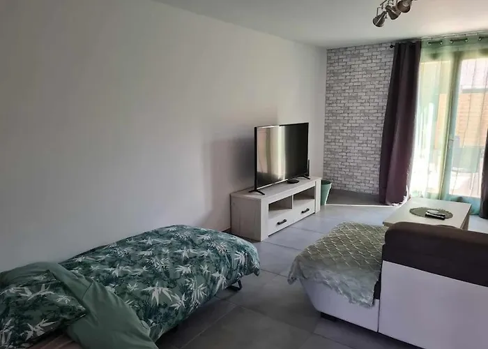 Σπίτι διακοπών Au Carnassier Du Der *